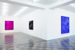 Installation Shot, Pictures for Pleasure, 2011